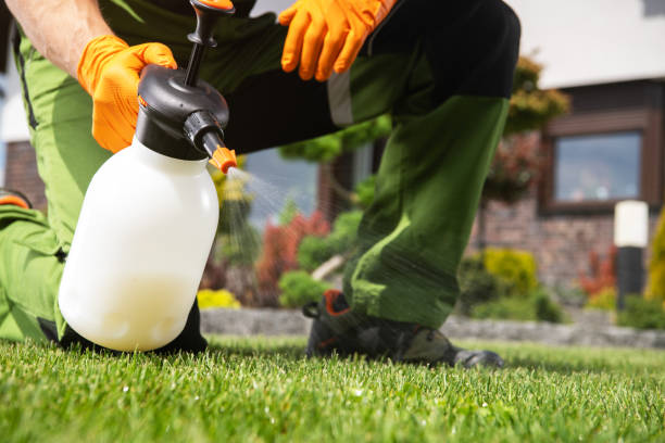 Best Pest Inspection Near Me  in Little Ferry, NJ