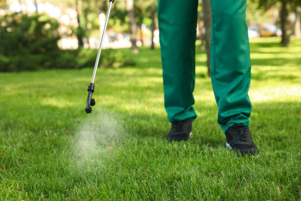 Best Affordable Pest Control Services  in Little Ferry, NJ