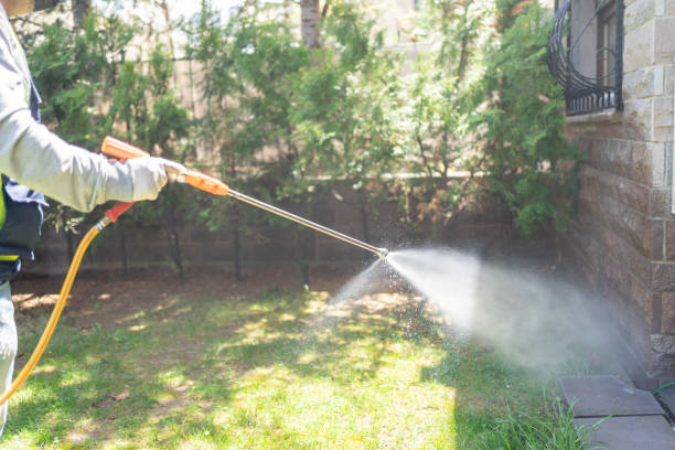 Best Mosquito Control Services  in Little Ferry, NJ