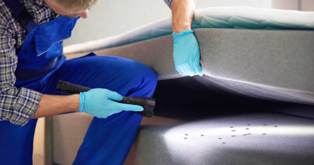 Best Emergency Pest Control  in Little Ferry, NJ