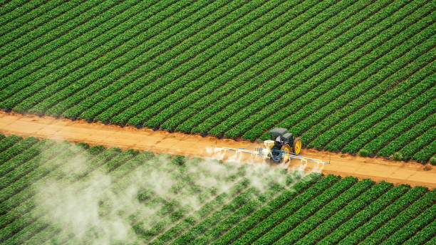 Best Pest Removal Services  in Little Ferry, NJ
