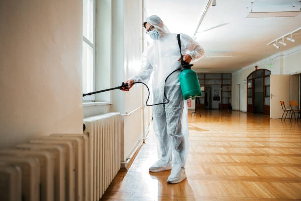 Best Flea Control Services  in Little Ferry, NJ