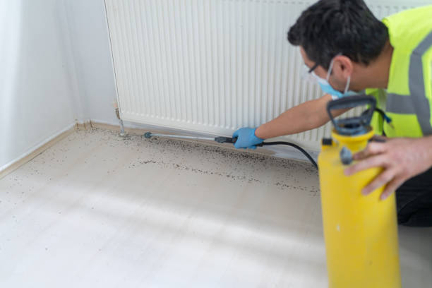 Best Wasp Removal Services  in Little Ferry, NJ