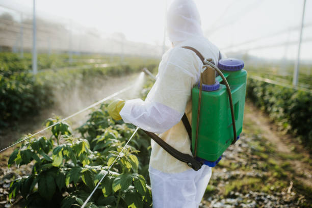 Best Exterminator Services  in Little Ferry, NJ